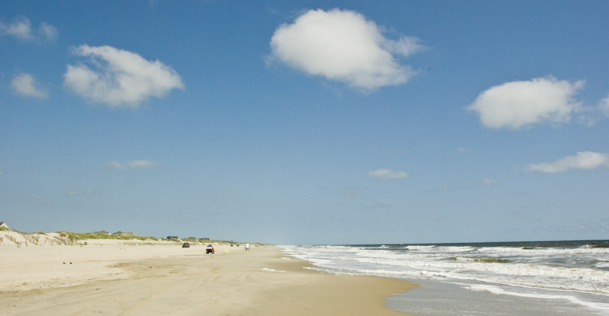 Guide To Shelling In The Outer Banks First Flight Rentals Blog